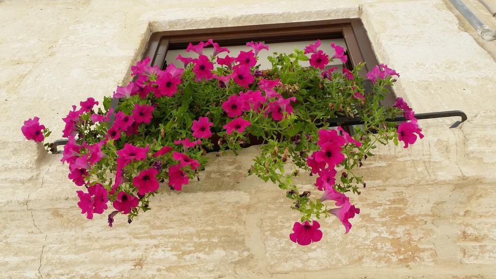 Borgo Antico Apartman Monopoli Kültér fotó